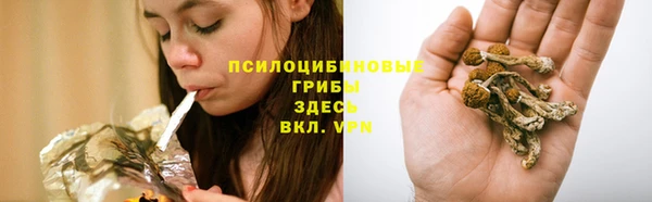 прущие крисы Абдулино