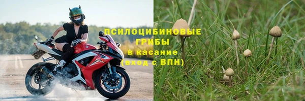 прущие крисы Абдулино