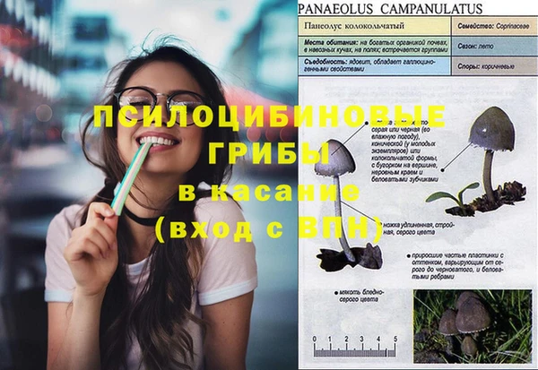 прущие крисы Абдулино